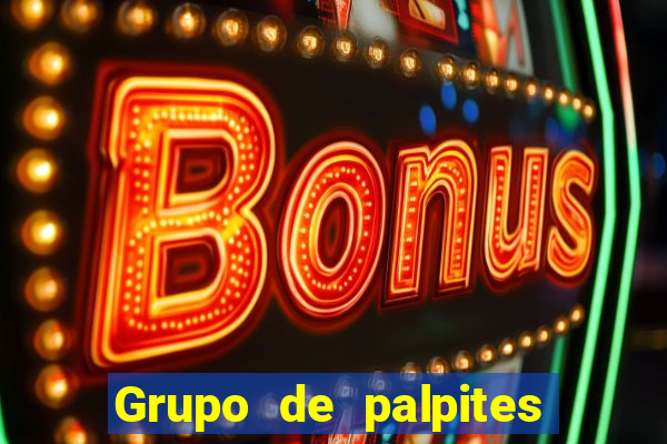 Grupo de palpites de futebol gratis